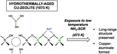 Graphical abstract: Structural and kinetic changes to small-pore Cu-zeolites after hydrothermal aging treatments and selective catalytic reduction of NOx with ammonia