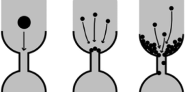 Graphical abstract: Clogging of microfluidic systems