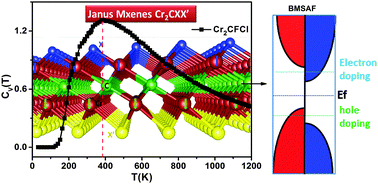 Graphical abstract: High temperature spin-polarized semiconductivity with zero magnetization in two-dimensional Janus MXenes