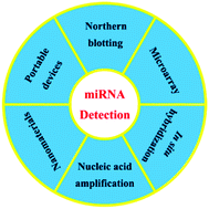 Graphical abstract: Recent advances in microRNA detection