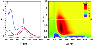 Graphical abstract: Ultrafast stimulated emission of nitrophenolates in organic and aqueous solutions