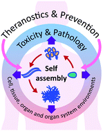 Graphical abstract: Implications of peptide assemblies in amyloid diseases