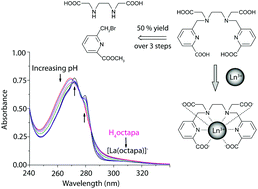 Graphical abstract: H4octapa: synthesis, solution equilibria and complexes with useful radiopharmaceutical metal ions