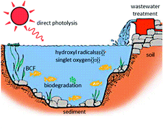 Graphical abstract: A review of quantitative structure–property relationships for the fate of ionizable organic chemicals in water matrices and identification of knowledge gaps