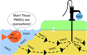 Graphical abstract: Ranking REACH registered neutral, ionizable and ionic organic chemicals based on their aquatic persistency and mobility