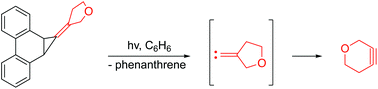 Graphical abstract: Photochemical generation and trapping of 3-oxacyclohexyne