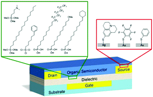 Graphical abstract: Recent progress in interface engineering of organic thin film transistors with self-assembled monolayers