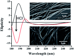 Graphical abstract: Dynamic self-assembled polymer: HCl responsive inversion of supramolecular polymer handedness