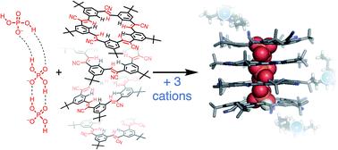 Graphical abstract: Phosphate–phosphate oligomerization drives higher order co-assemblies with stacks of cyanostar macrocycles