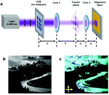 Graphical abstract: Voxel resolution in the directed self-assembly of liquid crystal polymer networks and elastomers