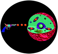 Graphical abstract: Crystalline assembly of gold nanoclusters for mitochondria targeted cancer theranostics