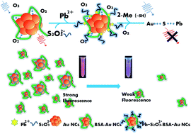 Graphical abstract: A redox route for the fluorescence detection of lead ions in sorghum, river water and tap water and a desk study of a paper-based probe