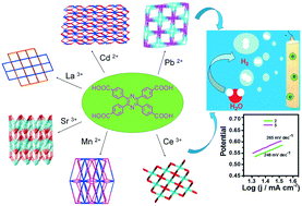 Graphical abstract: Metal–organic frameworks based on tetraphenylpyrazine-derived tetracarboxylic acid for electrocatalytic hydrogen evolution reaction and NAC sensing