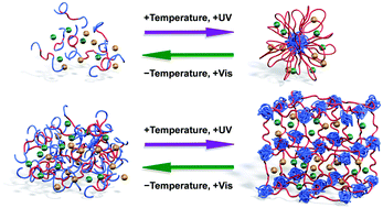 Graphical abstract: Block copolymer self-assembly in ionic liquids