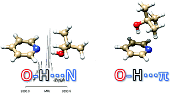 Graphical abstract: Interactions between azines and alcohols: a rotational study of pyridine–tert-butyl alcohol