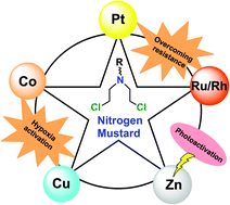 Graphical abstract: Modulation of the reactivity of nitrogen mustards by metal complexation: approaches to modify their therapeutic properties