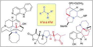 Graphical abstract: Total synthesis of complex alkaloids by nucleophilic addition to amides