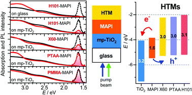 Graphical abstract: Intramolecular and interfacial dynamics of triarylamine-based hole transport materials