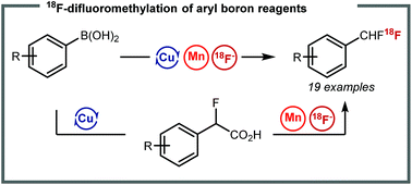 Graphical abstract: Synthesis of 18F-difluoromethylarenes using aryl boronic acids, ethyl bromofluoroacetate and [18F]fluoride