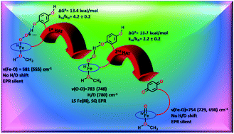 Graphical abstract: Hydrogen atom abstraction by synthetic heme ferric superoxide and hydroperoxide species