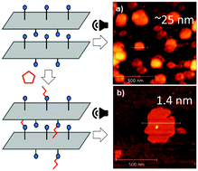 Graphical abstract: Tandem catalysis by ultrathin metal–organic nanosheets formed through post-synthetic functionalisation of a layered framework