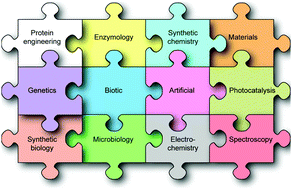 Graphical abstract: Semi-biological approaches to solar-to-chemical conversion