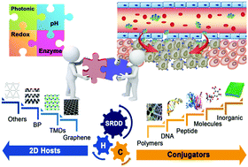 Graphical abstract: Engineered functionalized 2D nanoarchitectures for stimuli-responsive drug delivery