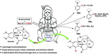 Graphical abstract: Metal-free late-stage C(sp2)–H functionalization of N-aryl amines with various sodium salts