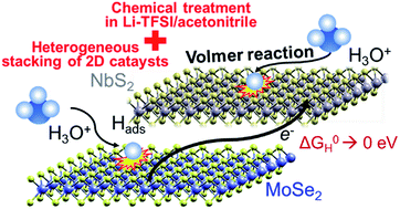Graphical abstract: Niobium disulphide (NbS2)-based (heterogeneous) electrocatalysts for an efficient hydrogen evolution reaction