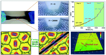 Graphical abstract: Human-tissue-inspired anti-fatigue-fracture hydrogel for a sensitive wide-range human–machine interface