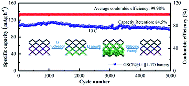 Graphical abstract: Bottom-top channeling Li nucleation and growth by a gradient lithiophilic 3D conductive host for highly stable Li-metal anodes