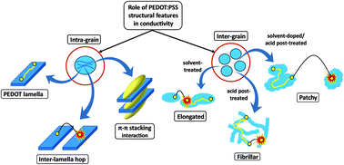 Graphical abstract: The key mechanism of conductivity in PEDOT:PSS thin films exposed by anomalous conduction behaviour upon solvent-doping and sulfuric acid post-treatment