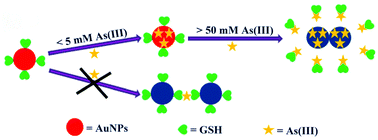 Graphical abstract: Interactions between gold, thiol and As(iii) for colorimetric sensing