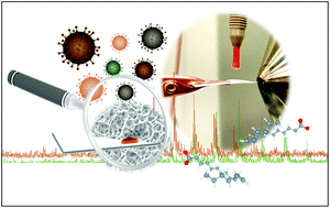 Graphical abstract: Paper spray mass spectrometry utilizing Teslin® substrate for rapid detection of lipid metabolite changes during COVID-19 infection