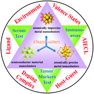 Graphical abstract: Progress in electrochemiluminescence of nanoclusters: how to improve the quantum yield of nanoclusters