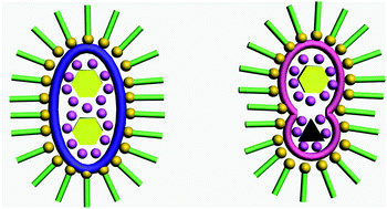 Graphical abstract: Silver clusters templated by homo- and hetero-anions