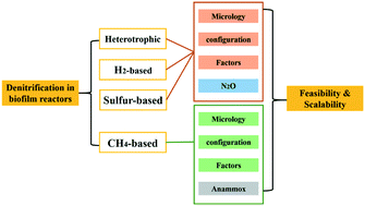 Graphical abstract: Denitrifying biofilm processes for wastewater treatment: developments and perspectives