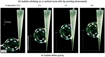 Graphical abstract: Bioinspired movement of gas bubbles: composition, applications, generation, contact angle, and movement – an overview