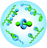 Graphical abstract: Synthetic strategies towards mechanically interlocked oligomers and polymers