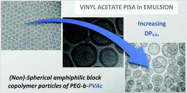 Graphical abstract: Poly(ethylene glycol)-b-poly(vinyl acetate) block copolymer particles with various morphologies via RAFT/MADIX aqueous emulsion PISA