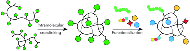 Graphical abstract: Pentafluorophenyl-based single-chain polymer nanoparticles as a versatile platform towards protein mimicry