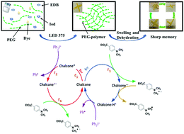 Graphical abstract: Bis-chalcone derivatives derived from natural products as near-UV/visible light sensitive photoinitiators for 3D/4D printing