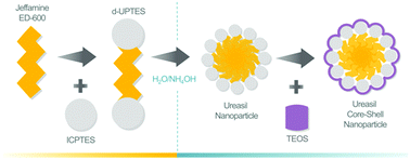Graphical abstract: Synthesis and characterisation of biocompatible organic–inorganic core–shell nanocomposite particles based on ureasils