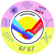 Graphical abstract: Structural design and antimicrobial properties of polypeptides and saccharide–polypeptide conjugates