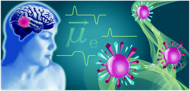 Graphical abstract: Electrokinetic elucidation of the interactions between persistent luminescent nanoprobes and the binary apolipoprotein-E/albumin protein system