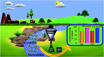 Graphical abstract: Photophysics of faecal pigments stercobilin and urobilin in aliphatic alcohols: introduction of a sensitive method for their detection using solvent phase extraction and fluorometry