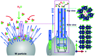 Graphical abstract: Unraveling the growth mechanism of W18O49 nanowires on W surfaces