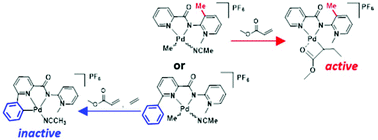 Graphical abstract: Modulation of N^N′-bidentate chelating pyridyl–pyridylidene amide ligands offers mechanistic insights into Pd-catalysed ethylene/methyl acrylate copolymerisation