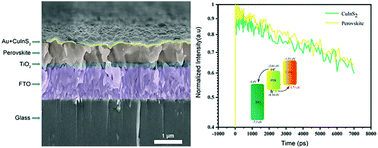 Graphical abstract: Improved efficiency and carrier dynamic transportation behavior in perovskite solar cells with CuInS2 quantum dots as hole-transport materials
