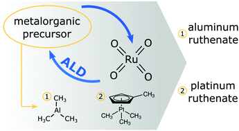 Graphical abstract: Atomic layer deposition of ternary ruthenates by combining metalorganic precursors with RuO4 as the co-reactant